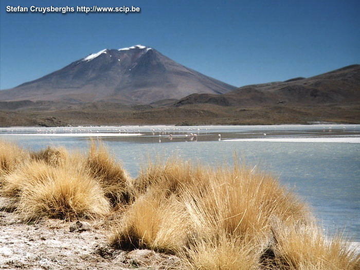 Uyuni - Laguna Hedionda  Stefan Cruysberghs